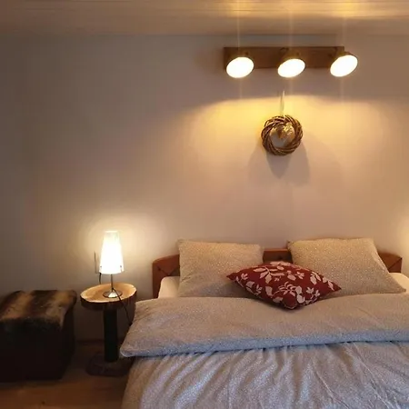 Apartment Ferienwohnung Heini Direkt An Der Piste In